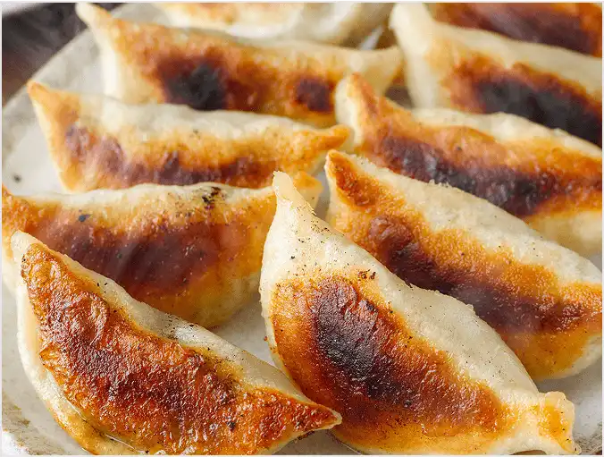餃子に