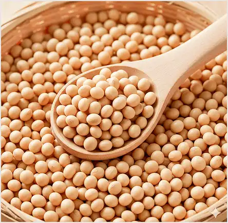 有機大豆