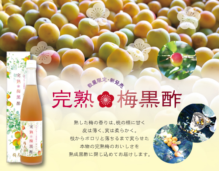 完熟梅